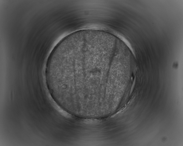X0000100781091200807171437