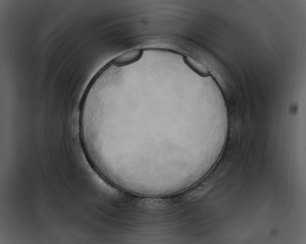 X0000100781092200807171437