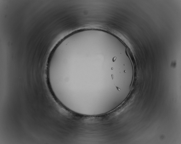 X0000100781093200807171436