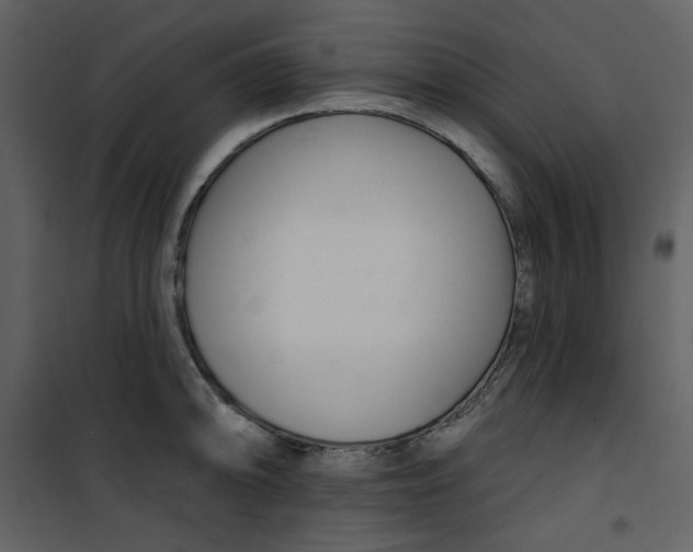 X0000100781094200807171436