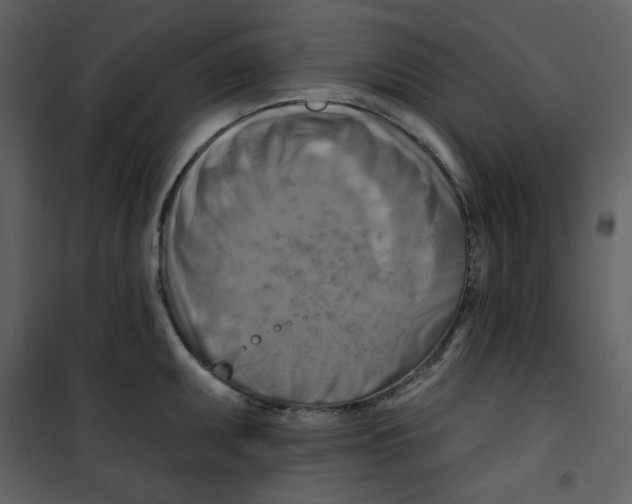 X0000100781095200807171436