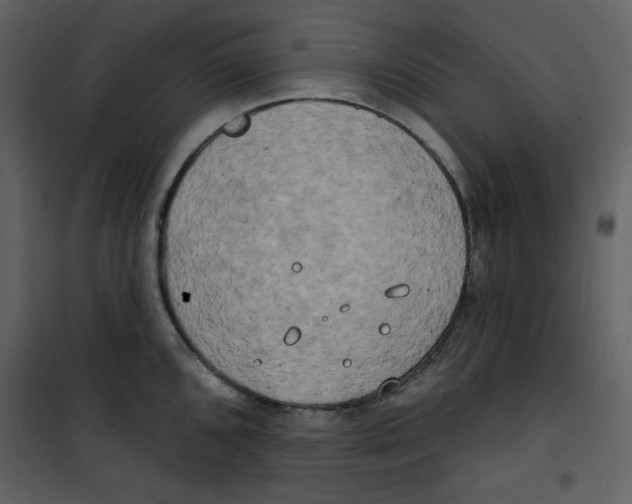 X0000100781096200807171436