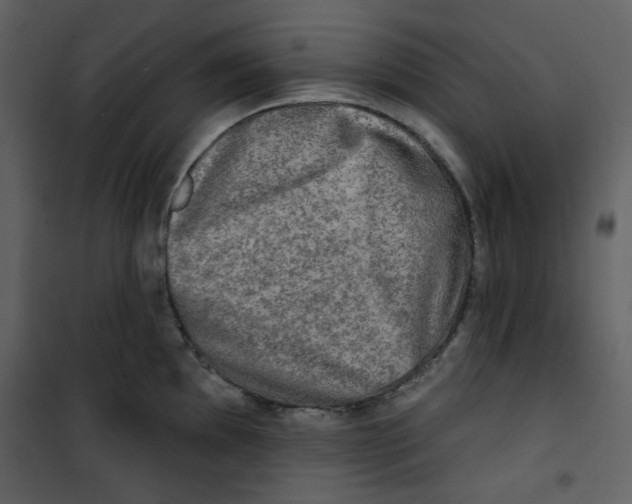 X0000100781097200807171436