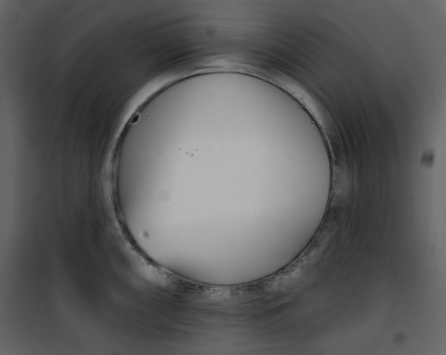 X0000100781098200807171436