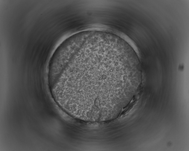 X0000100781099200807171436