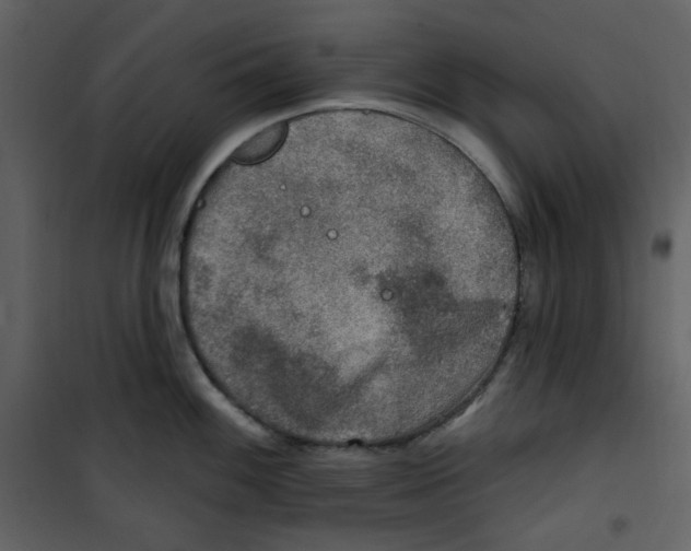 X0000100781100200807171436