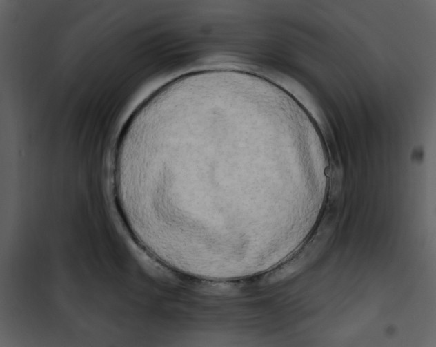 X0000100781101200807171436