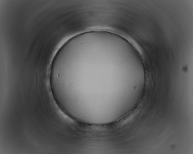 X0000100781102200807171436