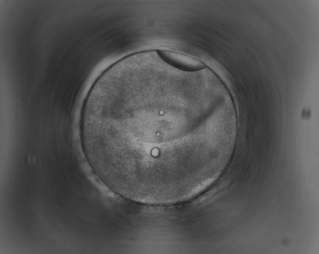 X0000100781104200807171436