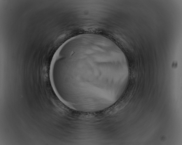 X0000100781106200807171436