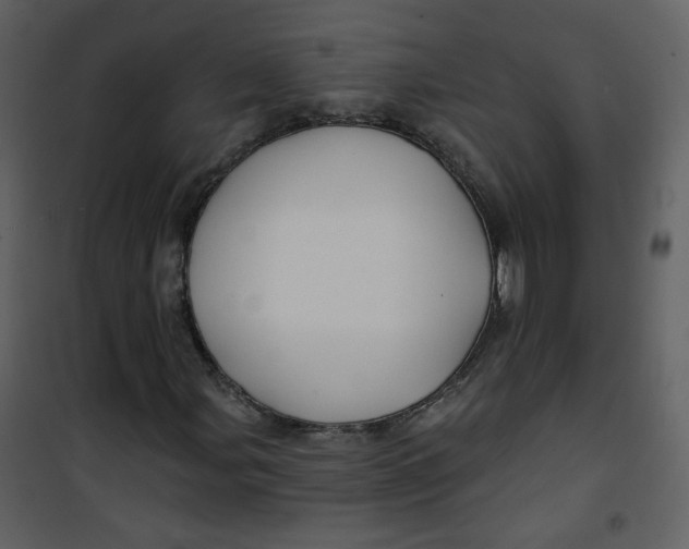 X0000100781107200807171436
