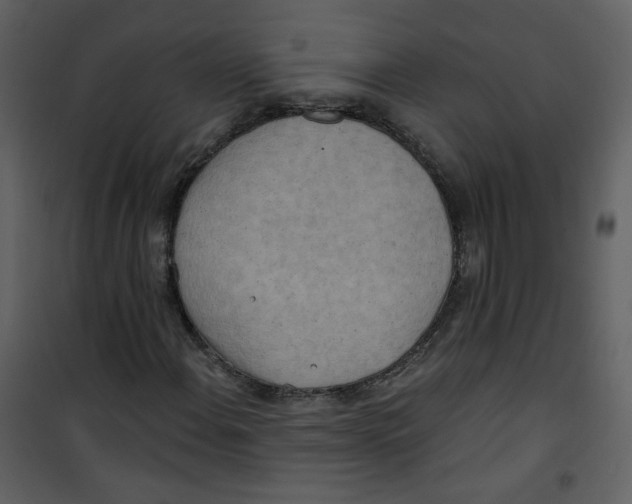 X0000100781108200807171436