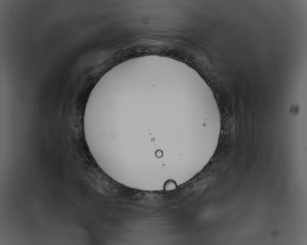 X0000100781109200807171436
