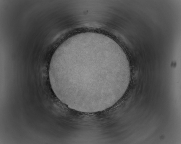 X0000100781110200807171436