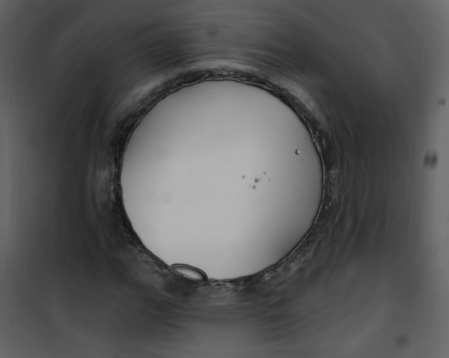 X0000100781111200807171436