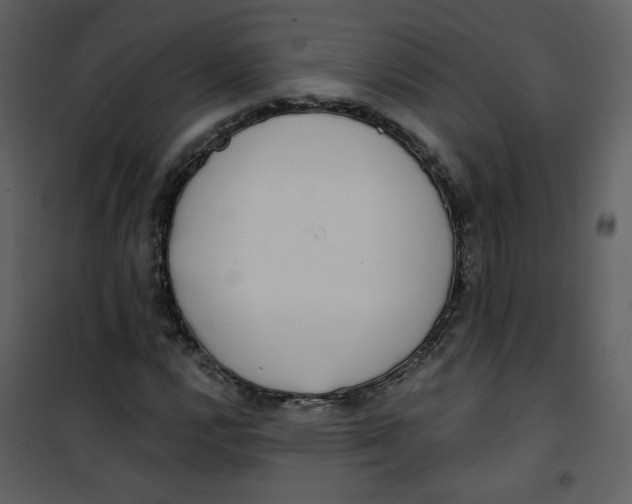 X0000100781112200807171436