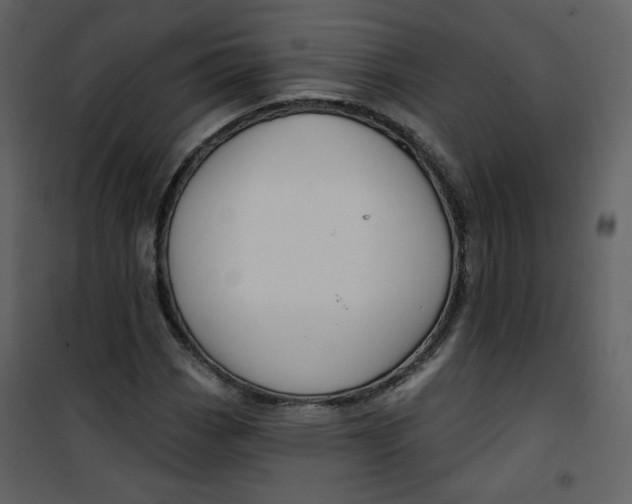 X0000100781113200807171436