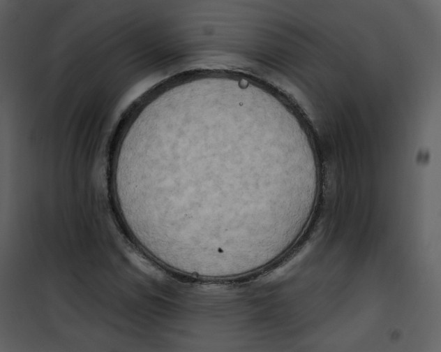 X0000100781114200807171436