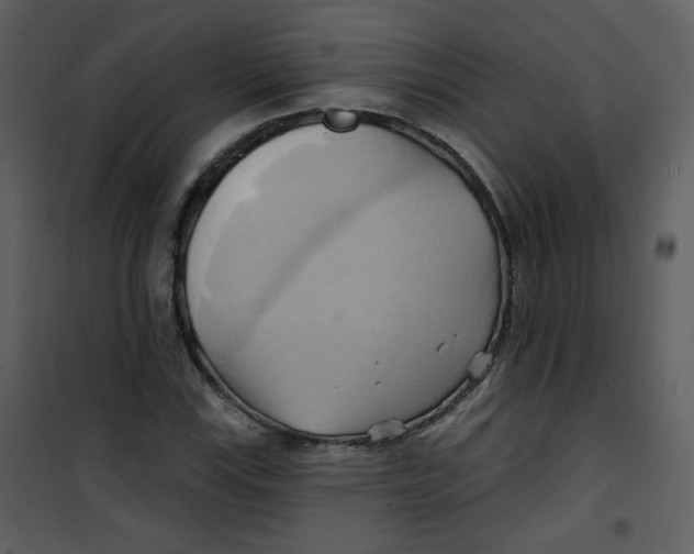 X0000100781115200807171436