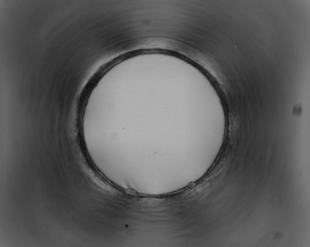 X0000100781116200807171436