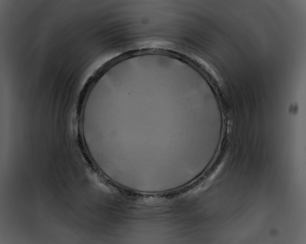 X0000100781117200807171436