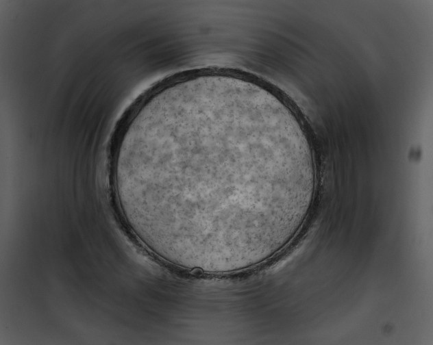 X0000100781118200807171436