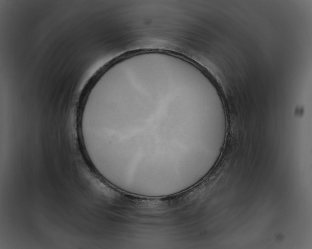 X0000100781120200807171436