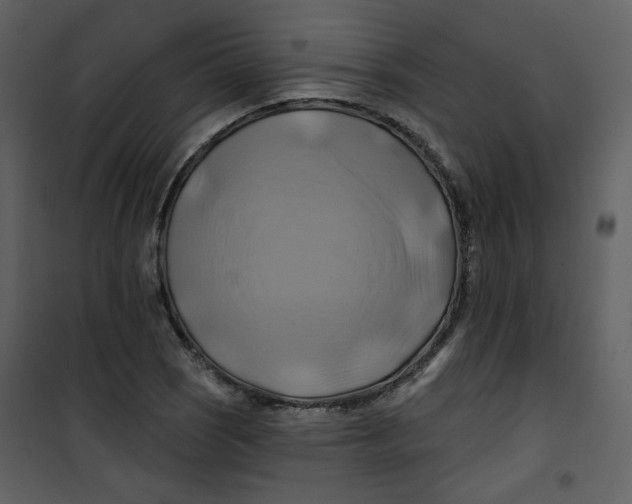 X0000100781121200807171436