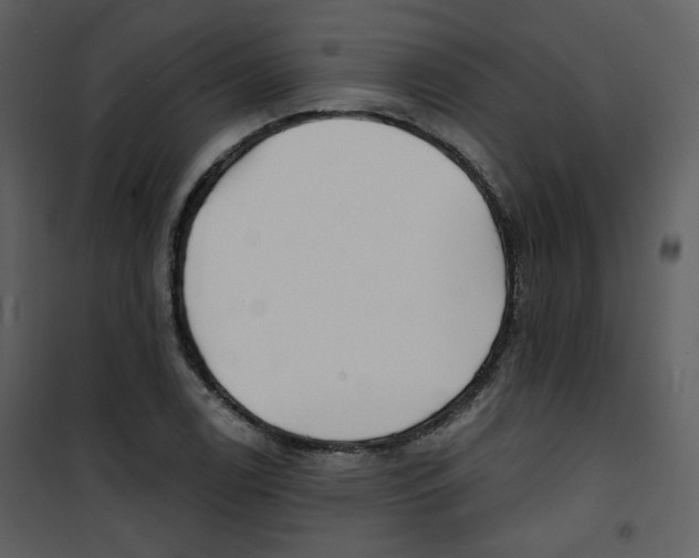 X0000100781122200807171436