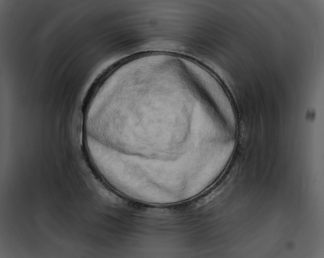 X0000100781123200807171436