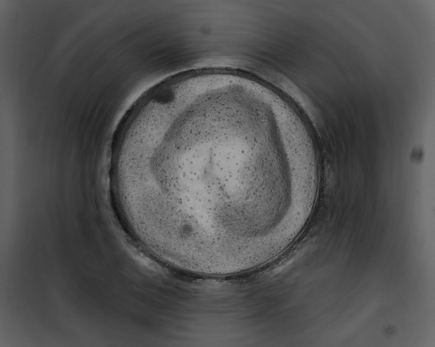 X0000100781124200807171436