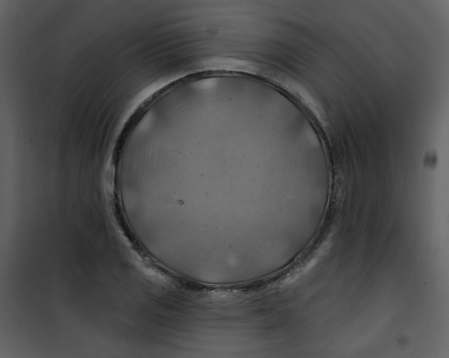 X0000100781125200807171436