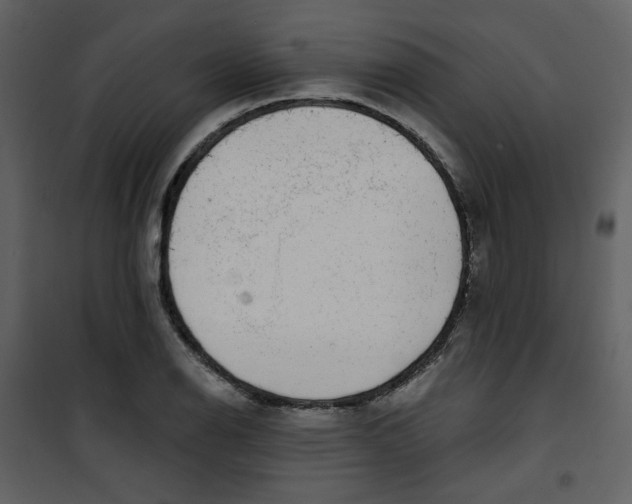 X0000100781126200807171436