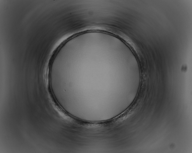 X0000100781127200807171436