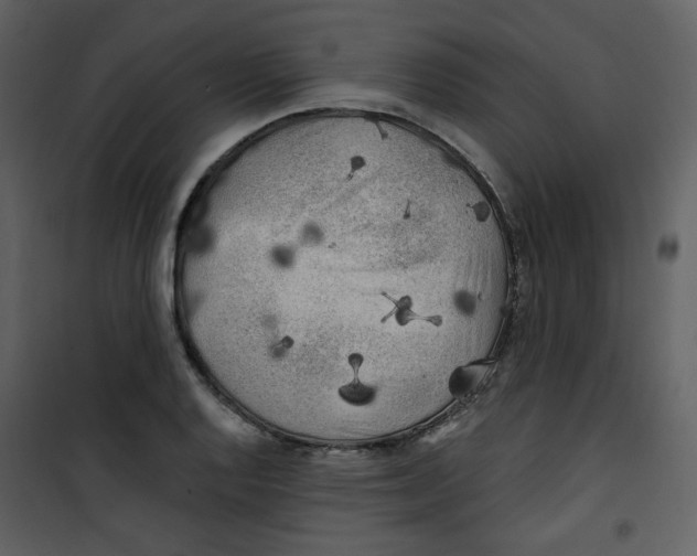 X0000100781128200807171436
