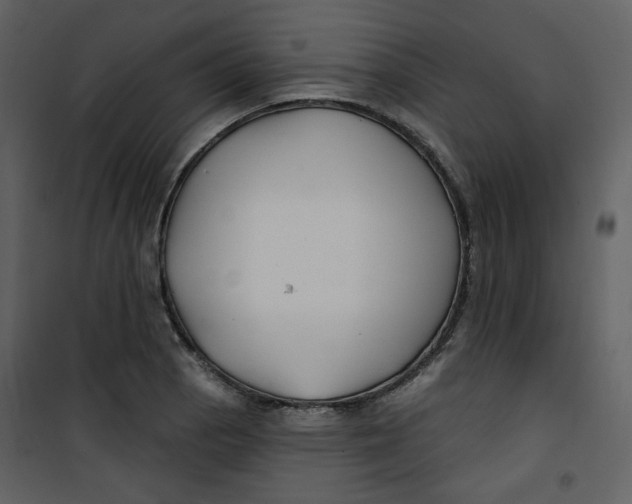 X0000100781129200807171436