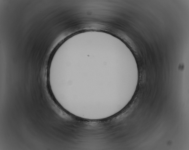 X0000100781130200807171436