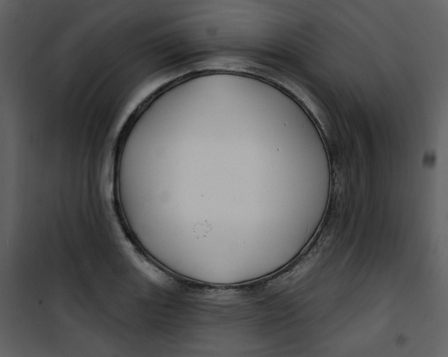 X0000100781131200807171436