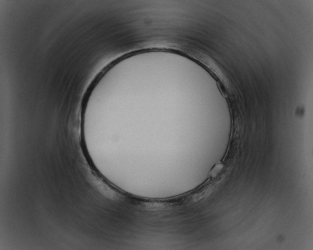 X0000100781132200807171436