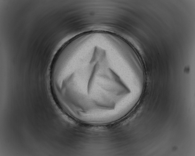 X0000100781133200807171436