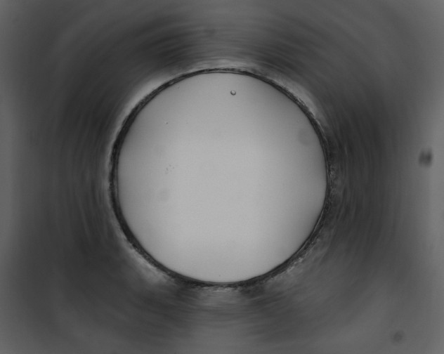X0000100781135200807171436