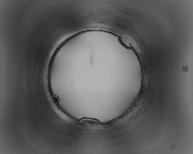 X0000100781136200807171436