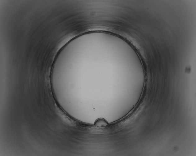X0000100781137200807171436