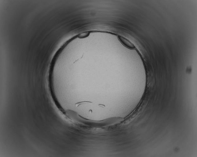 X0000100781139200807171436