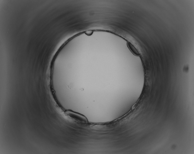 X0000100781140200807171436