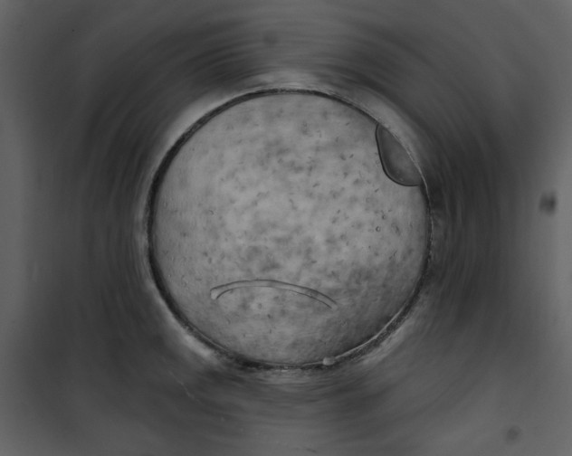 X0000100781141200807171436