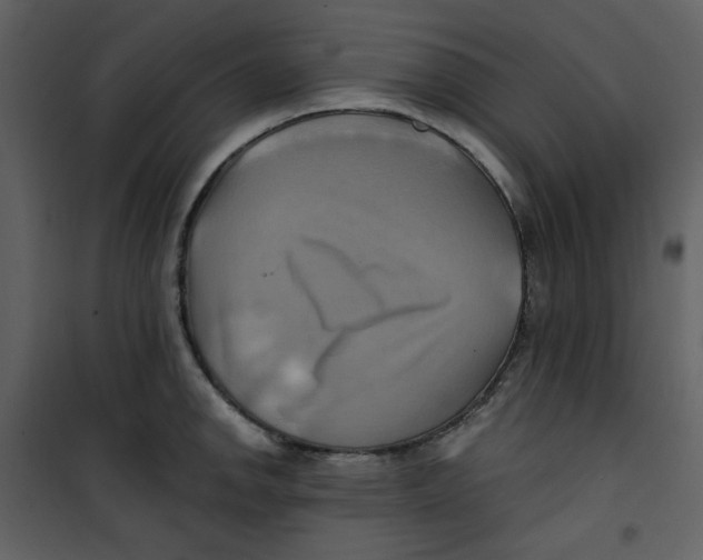 X0000100781142200807171436