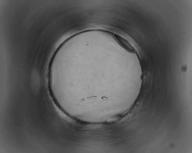 X0000100781143200807171436