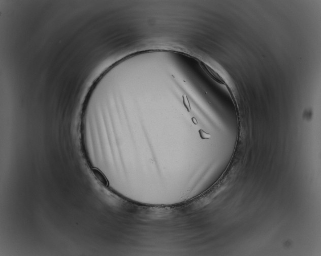 X0000100781144200807171436