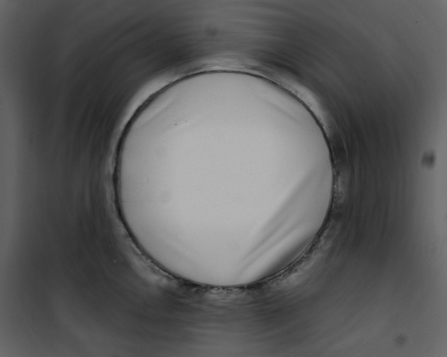 X0000100781146200807171436